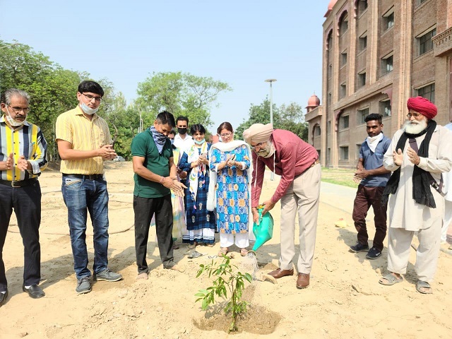aab World Environment Day 2021